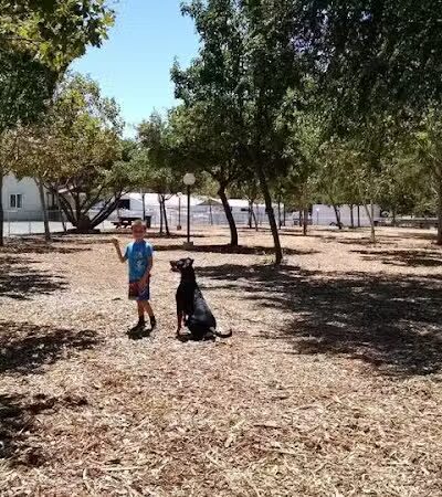 Martinez Waterfront Dog Park - Martinez, CA