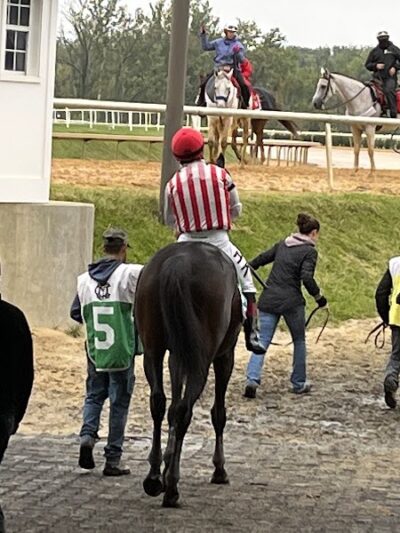 Laurel Park - Maryland City, MD