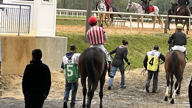 Laurel Park - Maryland City, MD