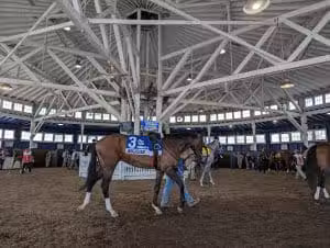 Laurel Park - Maryland City, MD