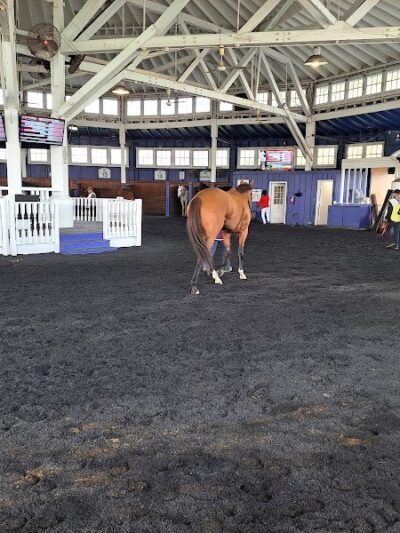 Laurel Park - Maryland City, MD