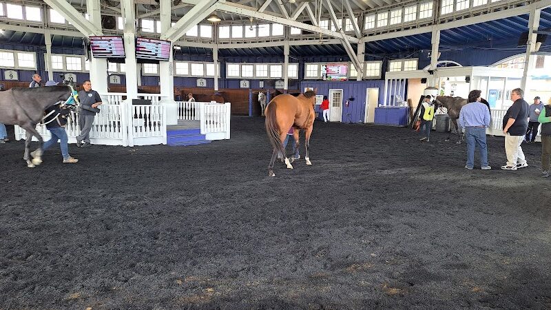 Laurel Park - Maryland City, MD
