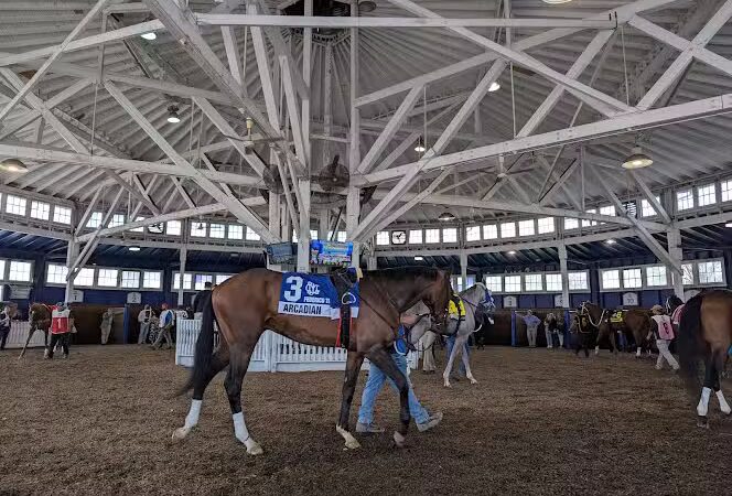 Laurel Park - Maryland City, MD