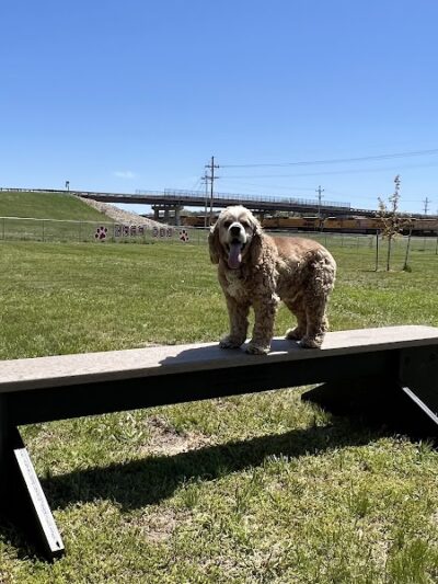 Black Squirrel Bark Park - Marysville, KS