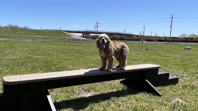 Black Squirrel Bark Park - Marysville, KS