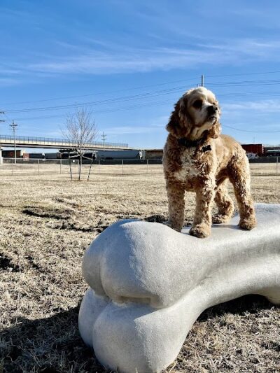 Black Squirrel Bark Park - Marysville, KS