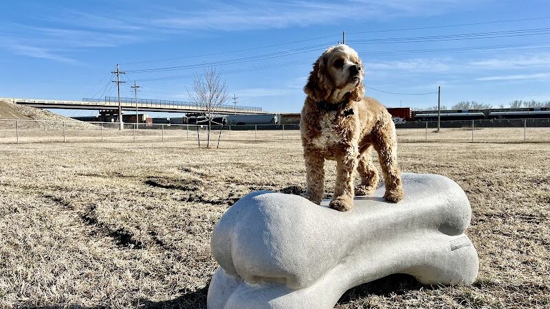 Black Squirrel Bark Park - Marysville, KS
