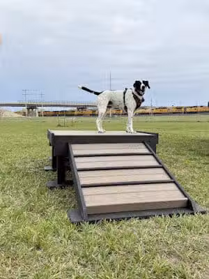 Black Squirrel Bark Park - Marysville, KS