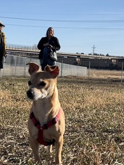 Black Squirrel Bark Park - Marysville, KS