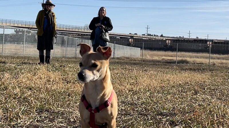 Black Squirrel Bark Park - Marysville, KS