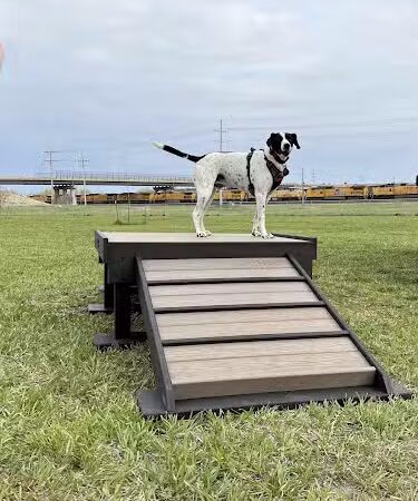 Black Squirrel Bark Park - Marysville, KS