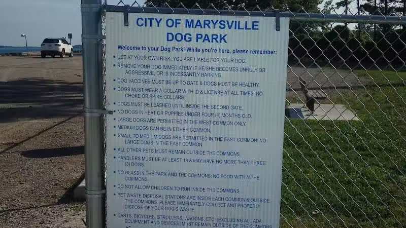 Marysville dog park - Marysville,