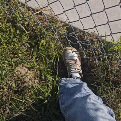 Marysville dog park - Marysville, MI