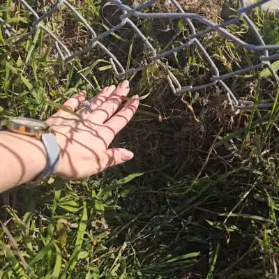 Marysville dog park - Marysville, MI