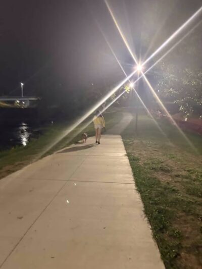 PetSafe Pistol Creek Dog Park - Maryville, TN