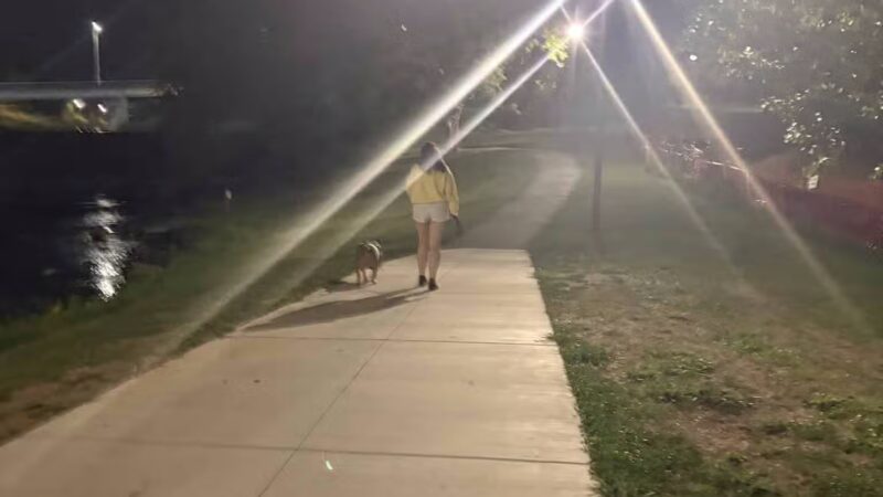 PetSafe Pistol Creek Dog Park - Maryville, TN