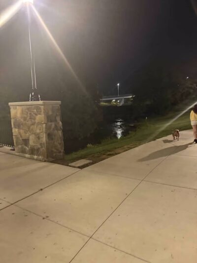 PetSafe Pistol Creek Dog Park - Maryville, TN