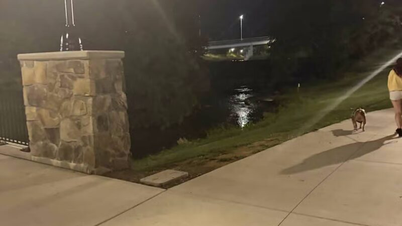 PetSafe Pistol Creek Dog Park - Maryville, TN