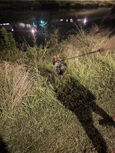 PetSafe Pistol Creek Dog Park - Maryville, TN