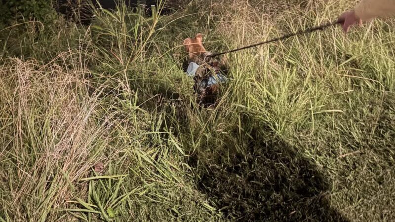PetSafe Pistol Creek Dog Park - Maryville, TN