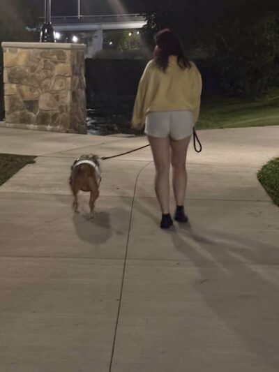 PetSafe Pistol Creek Dog Park - Maryville, TN