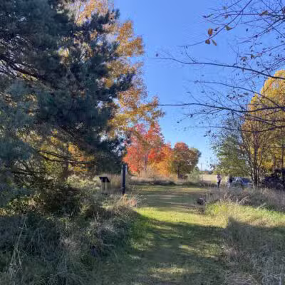 Bunker Nature Preserve - Mason,