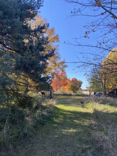 Bunker Nature Preserve - Mason,
