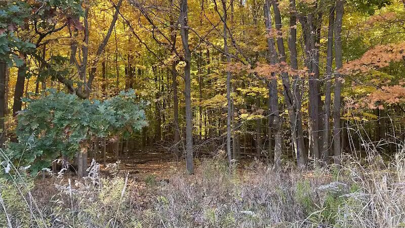 Bunker Nature Preserve - Mason,
