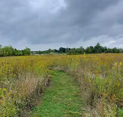 Bunker Nature Preserve - Mason,