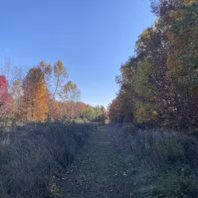 Bunker Nature Preserve - Mason,
