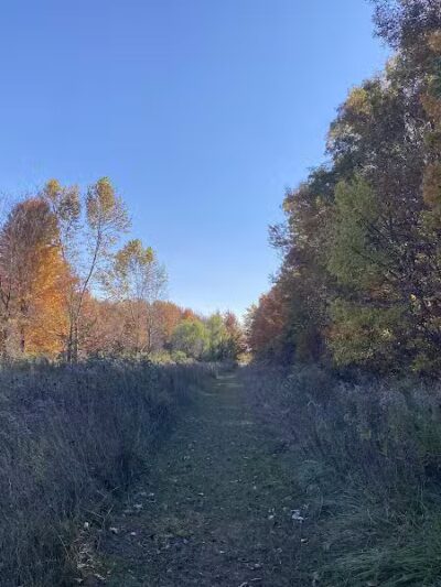 Bunker Nature Preserve - Mason,