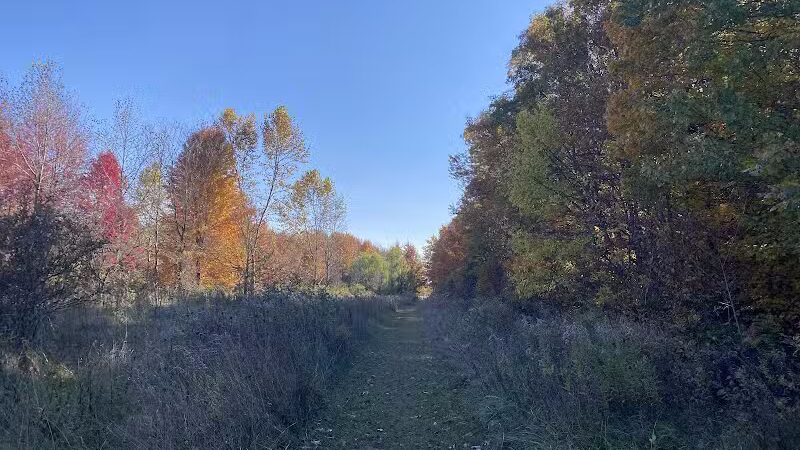 Bunker Nature Preserve - Mason,