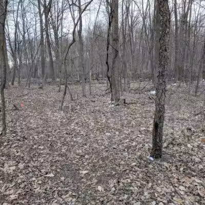 Bunker Nature Preserve - Mason,