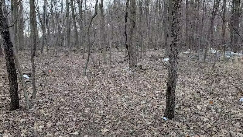 Bunker Nature Preserve - Mason,