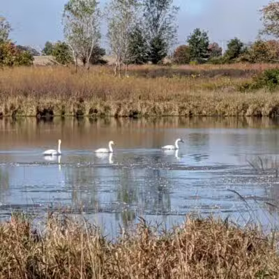 Bunker Nature Preserve - Mason,