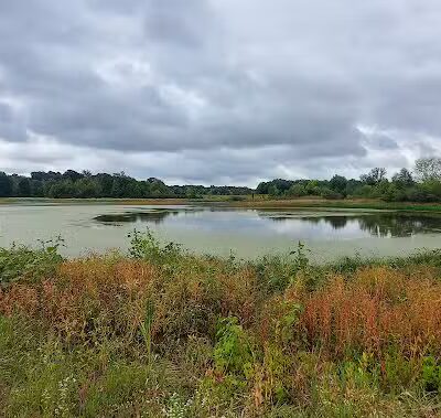 Bunker Nature Preserve - Mason,