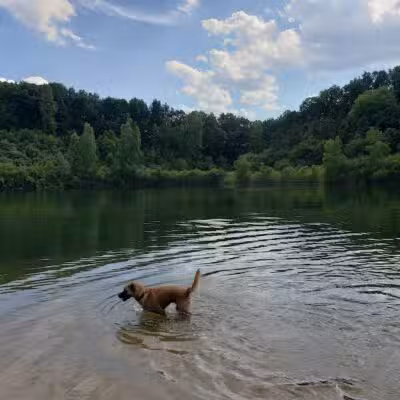 Dansville State Game Area - Mason,