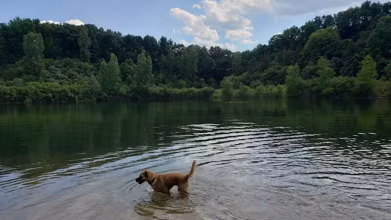 Dansville State Game Area - Mason,