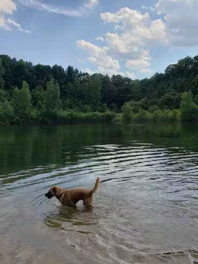 Dansville State Game Area - Mason,