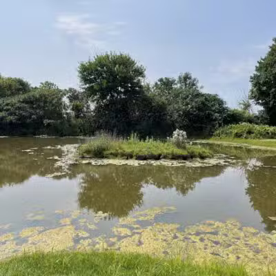 Glenna Droscha Park - Mason,