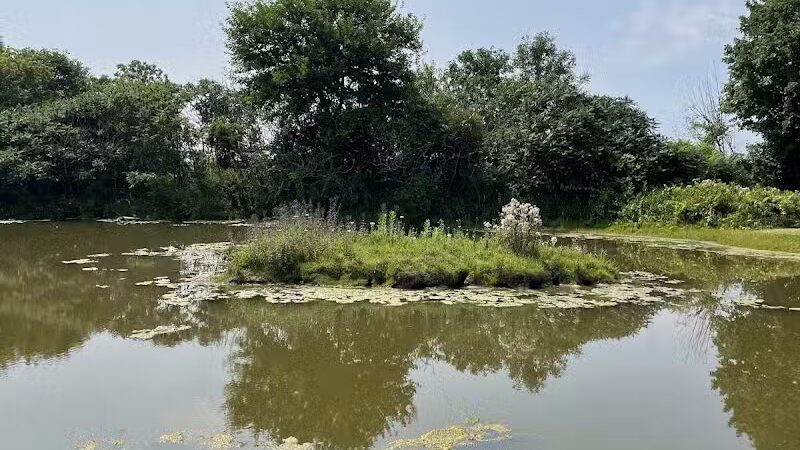 Glenna Droscha Park - Mason,