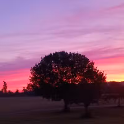 Glenna Droscha Park - Mason,