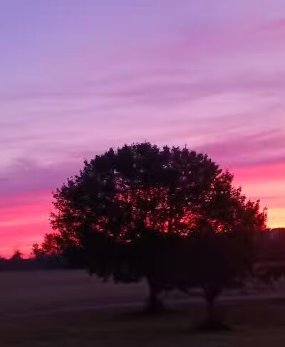 Glenna Droscha Park - Mason,