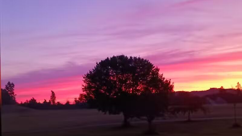 Glenna Droscha Park - Mason,