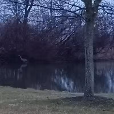 Glenna Droscha Park - Mason,