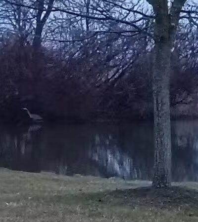Glenna Droscha Park - Mason,