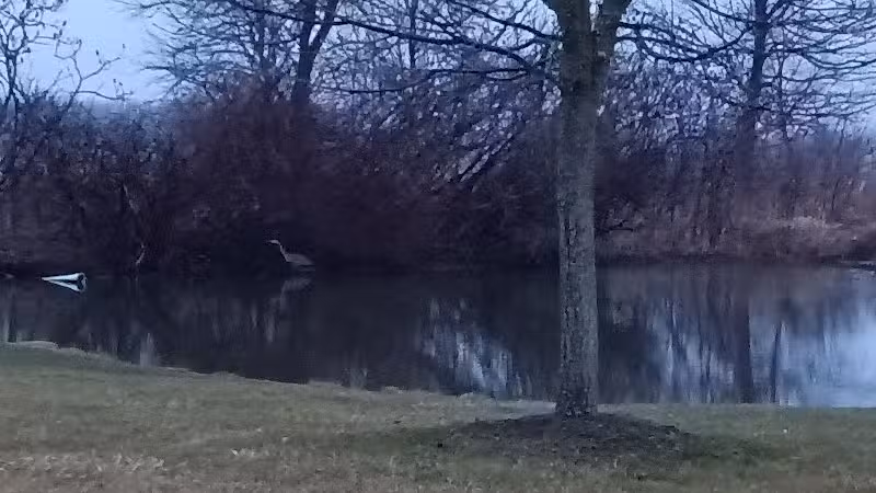 Glenna Droscha Park - Mason,