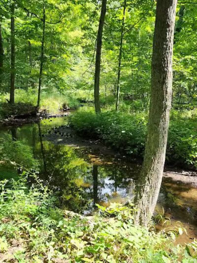 ICD Trailhead - Mason,