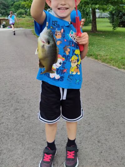 Laylin Park - Mason,