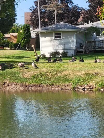 Laylin Park - Mason,